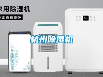行業新聞杭州除濕機