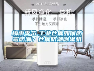 常見問題梅雨季節,工業倉庫如何防霉防潮？倉庫防潮除濕機