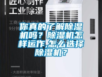 常見問題你真的了解除濕機嗎？除濕機怎樣運作,怎么選擇除濕機？
