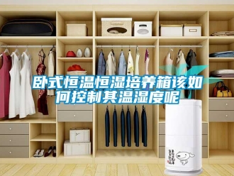 知識(shí)百科臥式恒溫恒濕培養(yǎng)箱該如何控制其溫濕度呢