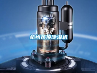 行業(yè)新聞杭州吊頂除濕機(jī)