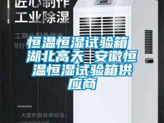 知識百科恒溫恒濕試驗箱 湖北高天 安徽恒溫恒濕試驗箱供應(yīng)商