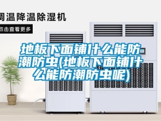 企業(yè)新聞地板下面鋪什么能防潮防蟲(地板下面鋪什么能防潮防蟲呢)