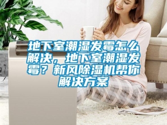 常見問題地下室潮濕發霉怎么解決，地下室潮濕發霉？新風除濕機幫你解決方案