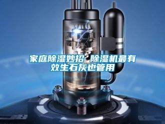 行業(yè)新聞家庭除濕妙招 除濕機最有效生石灰也管用