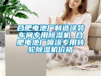 常見問題合肥電池廠制造涂裝車間專用除濕機 合肥電池廠噴涂專用轉輪除濕機價格