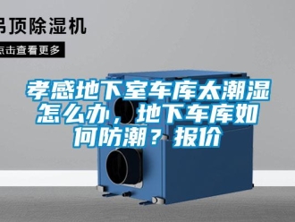 企業新聞孝感地下室車庫太潮濕怎么辦，地下車庫如何防潮？報價