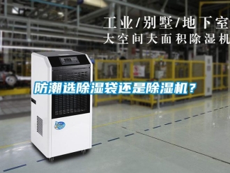 企業新聞防潮選除濕袋還是除濕機？