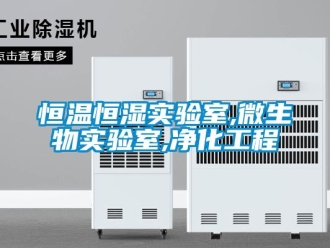 知識百科恒溫恒濕實驗室,微生物實驗室,凈化工程
