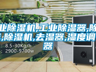 常見(jiàn)問(wèn)題工業(yè)除濕機(jī),工業(yè)除濕器,除濕器,除濕機(jī),去濕器,濕度調(diào)節(jié)器