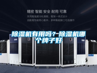 行業新聞除濕機有用嗎？除濕機哪個牌子好