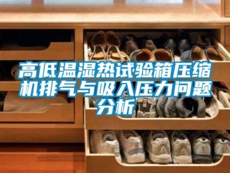 常見問題高低溫濕熱試驗箱壓縮機排氣與吸入壓力問題分析