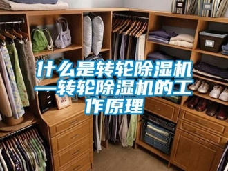 常見(jiàn)問(wèn)題什么是轉(zhuǎn)輪除濕機(jī)—轉(zhuǎn)輪除濕機(jī)的工作原理