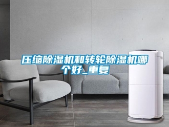 常見問題壓縮除濕機和轉輪除濕機哪個好_重復