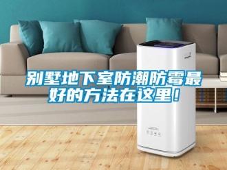 企業(yè)新聞別墅地下室防潮防霉最好的方法在這里！