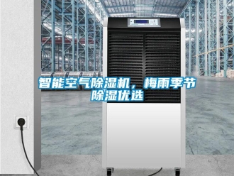 知識百科智能空氣除濕機，梅雨季節除濕優選
