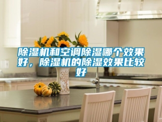 行業(yè)新聞除濕機(jī)和空調(diào)除濕哪個(gè)效果好，除濕機(jī)的除濕效果比較好