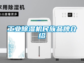 常見問題工業(yè)除濕機(jī)民族品牌介紹