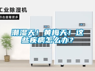 常見問題潮濕天！黃梅天！這些疾病怎么辦？