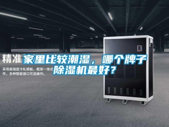 行業新聞家里比較潮濕，哪個牌子除濕機最好？