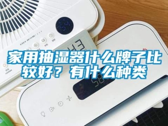 企業(yè)新聞家用抽濕器什么牌子比較好？有什么種類