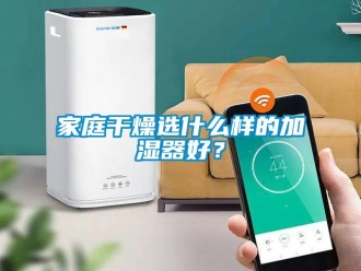 行業新聞家庭干燥選什么樣的加濕器好？