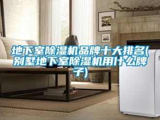 企業(yè)新聞地下室除濕機(jī)品牌十大排名(別墅地下室除濕機(jī)用什么牌子)