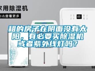 行業(yè)新聞租的房子在陰面沒(méi)有太陽(yáng)，有必要買(mǎi)除濕機(jī)或者紫外線燈嗎？