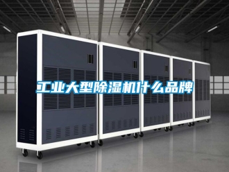 常見問(wèn)題工業(yè)大型除濕機(jī)什么品牌