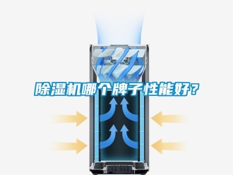 行業(yè)新聞除濕機(jī)哪個牌子性能好？