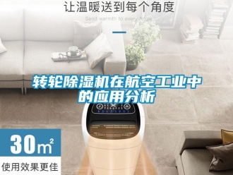 知識百科轉(zhuǎn)輪除濕機(jī)在航空工業(yè)中的應(yīng)用分析