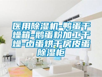 行業新聞醫用除濕機-鴨蛋干燥箱-鵝蛋粉加工干燥-鹵蛋烘干房皮蛋除濕柜