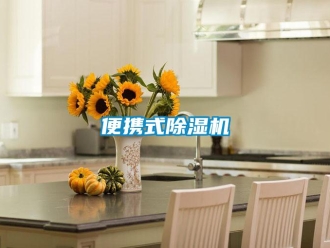 常見問題便攜式除濕機