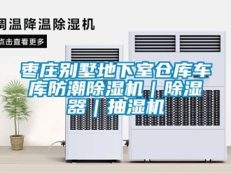 企業(yè)新聞棗莊別墅地下室倉庫車庫防潮除濕機｜除濕器｜抽濕機
