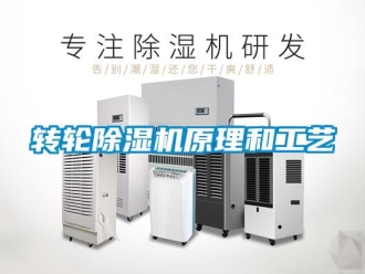 知識百科轉輪除濕機原理和工藝