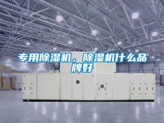 企業(yè)新聞專(zhuān)用除濕機(jī)，除濕機(jī)什么品牌好