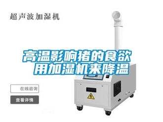 企業(yè)新聞高溫影響豬的食欲 用加濕機(jī)來降溫