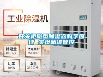 行業(yè)新聞開關(guān)柜微型除濕器科學(xué)原理 實(shí)現(xiàn)精準(zhǔn)管控