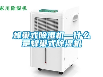行業(yè)新聞蜂巢式除濕機(jī)—什么是蜂巢式除濕機(jī)