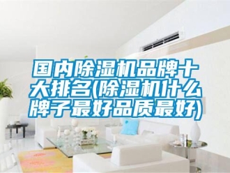 企業(yè)新聞國(guó)內(nèi)除濕機(jī)品牌十大排名(除濕機(jī)什么牌子最好品質(zhì)最好)