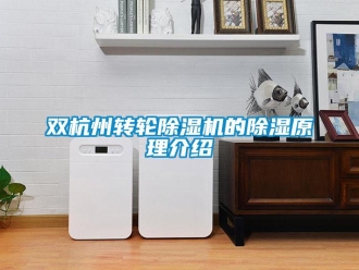 常見問題雙杭州轉輪除濕機的除濕原理介紹