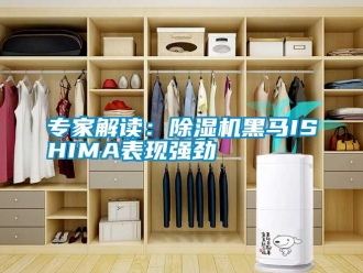 知識百科專家解讀：除濕機黑馬ISHIMA表現強勁