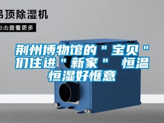 知識百科荊州博物館的＂寶貝＂們住進＂新家＂ 恒溫恒濕好愜意