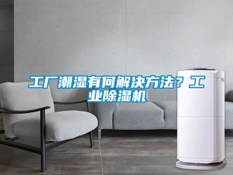 常見問題工廠潮濕有何解決方法？工業除濕機