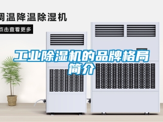 常見問題工業(yè)除濕機(jī)的品牌格局簡介