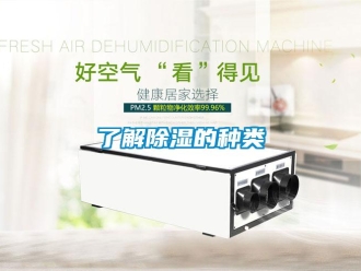 行業新聞了解除濕的種類