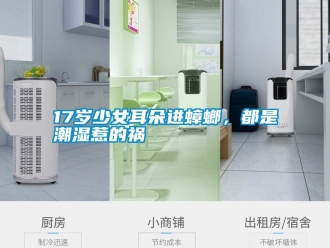 常見問題17歲少女耳朵進蟑螂，都是潮濕惹的禍