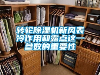 常見問題轉輪除濕機新風表冷作用和露點這一參數的重要性