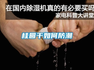 常見問題桂圓干如何防潮