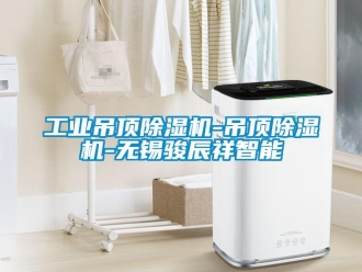 常見問題工業(yè)吊頂除濕機(jī)-吊頂除濕機(jī)-無錫駿辰祥智能